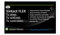 SINTACT FLEX